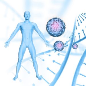 Có phải truyền tế bào gốc càng nhiều vào cơ thể là càng tốt?