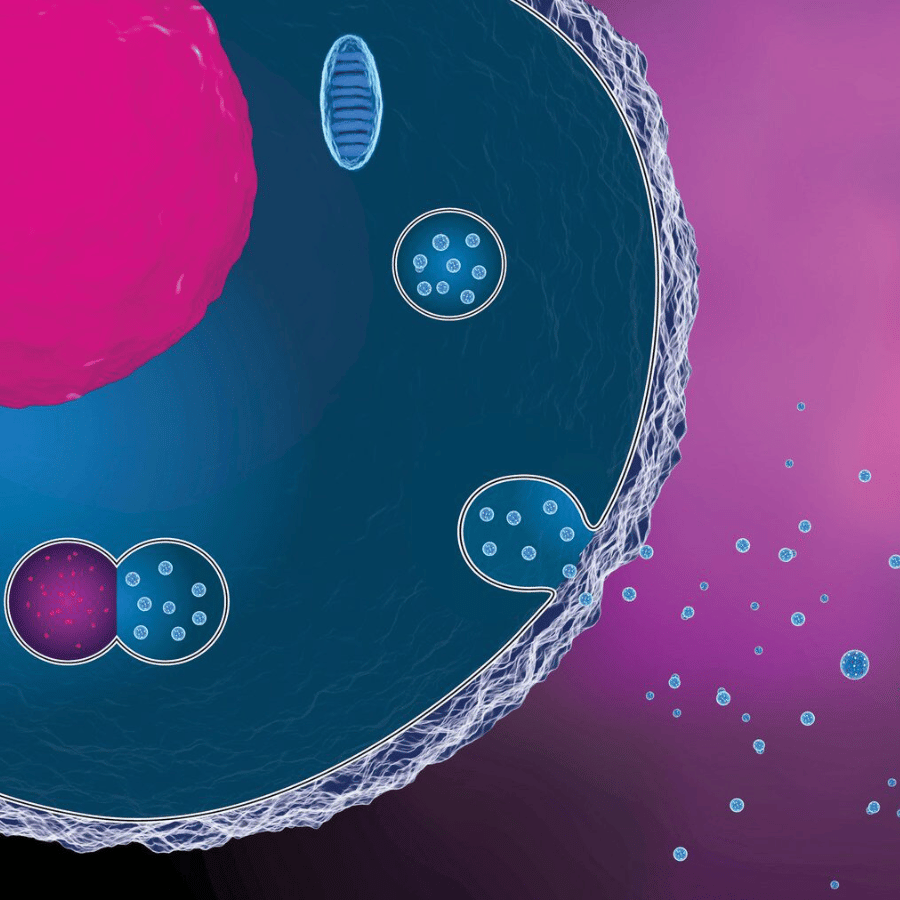 exosome-la-di-ung-dung-cua-exosome