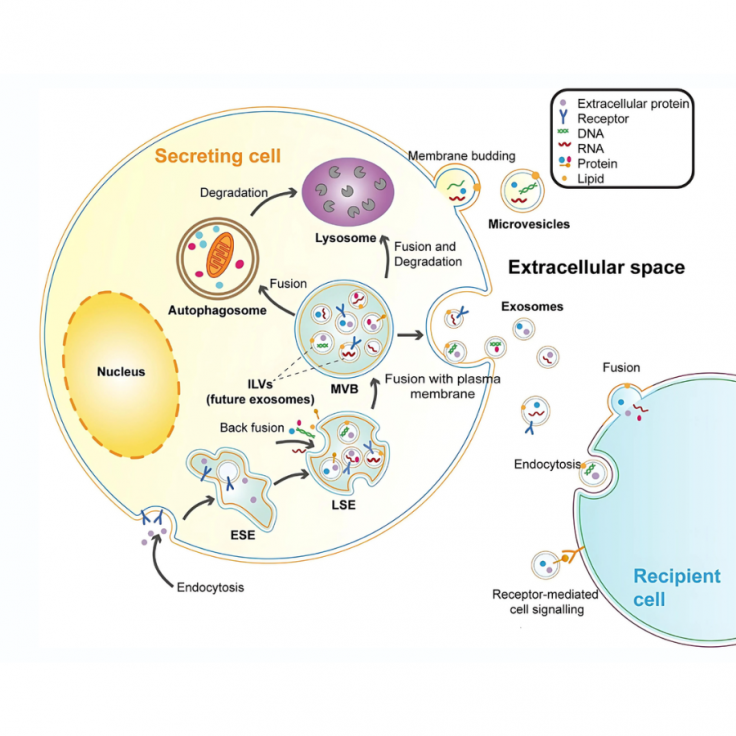 exosome-cong-nghe-moi-day-trien-vong-3