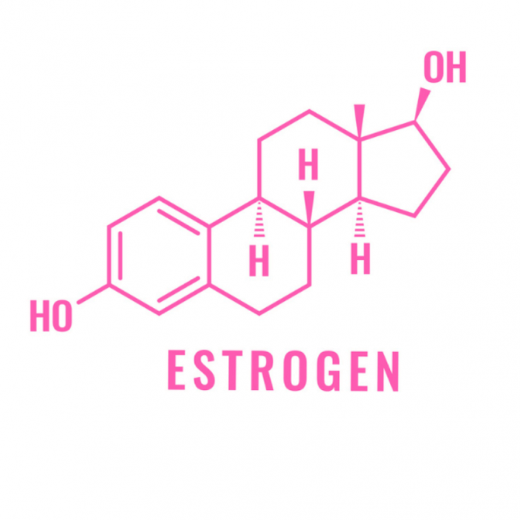 estrogen-co-vai-tro-gi (1)