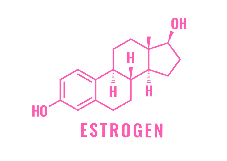 estrogen-co-vai-tro-gi (4)